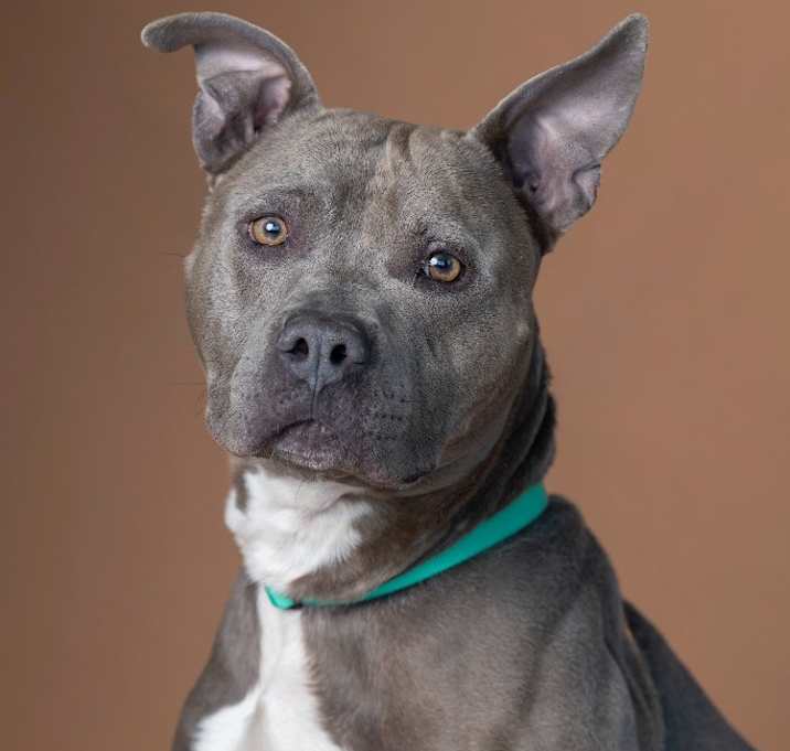 Photo of Cupid Shuffle