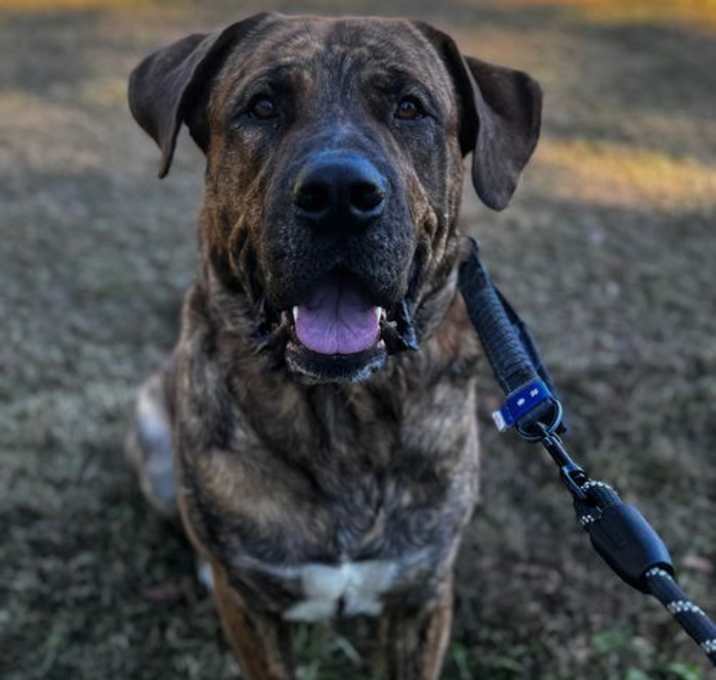 Photo of Adley *Courtesy Post*