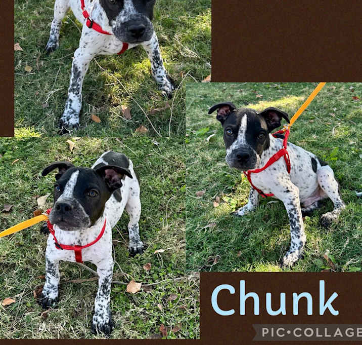 Photo of Chunk
