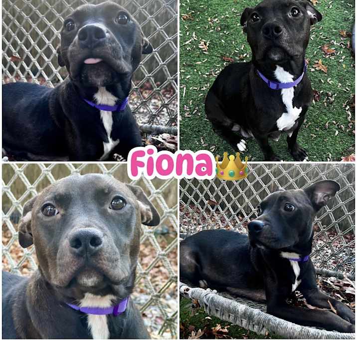Photo of Fiona