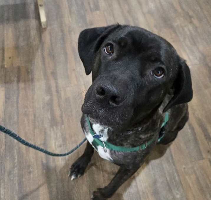 Photo of Fernie *Courtesy Post*