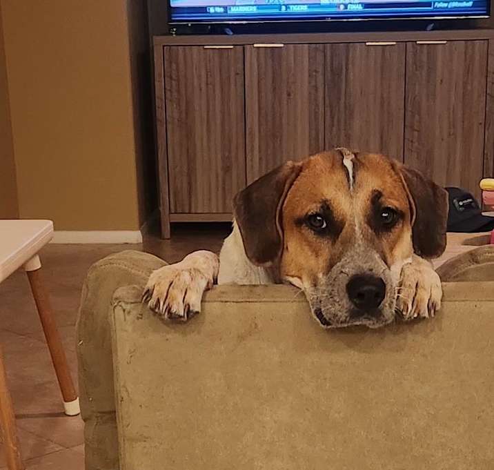 Photo of Kamari Rose