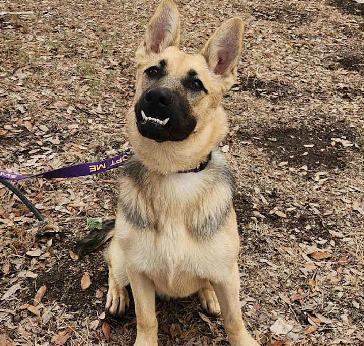 Photo of Teefers JuM