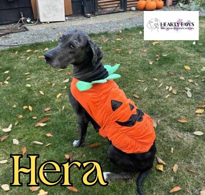 Photo of Hera