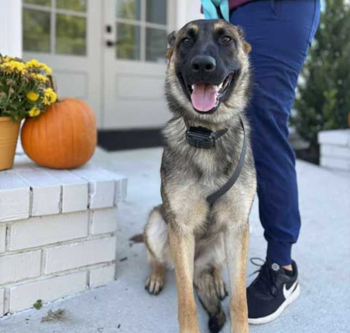 Photo of Jinx (KID FRIENDLY)