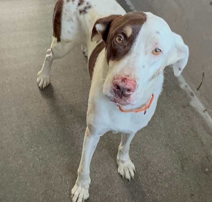 Photo of Zion A2070698