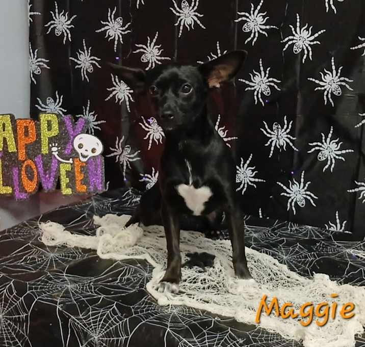 Photo of Maggie