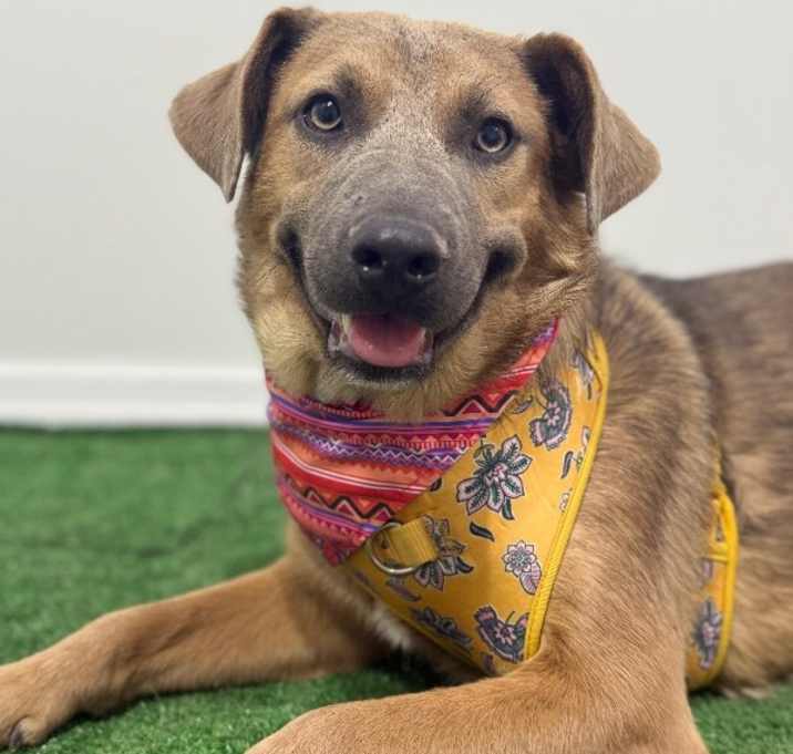 Photo of Nina Vanessa