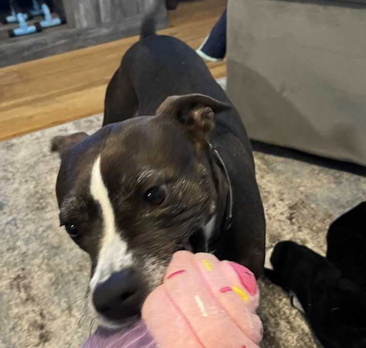 Photo of Peppermint Patty