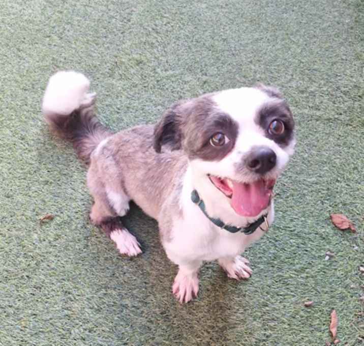 Milo- By Appointment Only