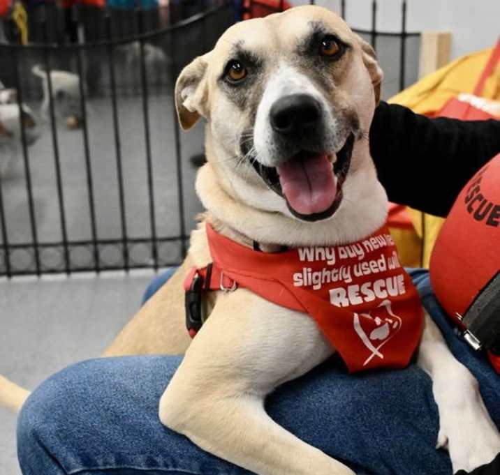 Photo of Tamale *LOCAL*