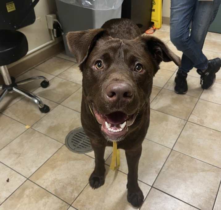 Photo of Reese (mcas)