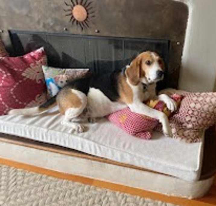 Photo of Asher Bourne