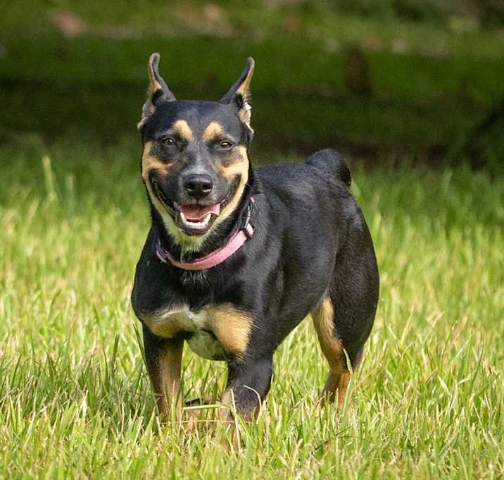 Photo of Dora Dayton