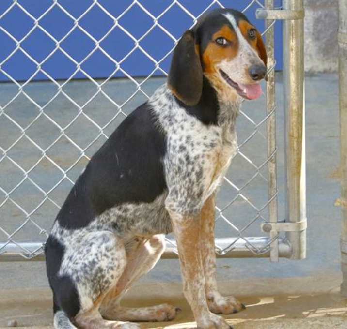 Photo of CLARICE STARLING