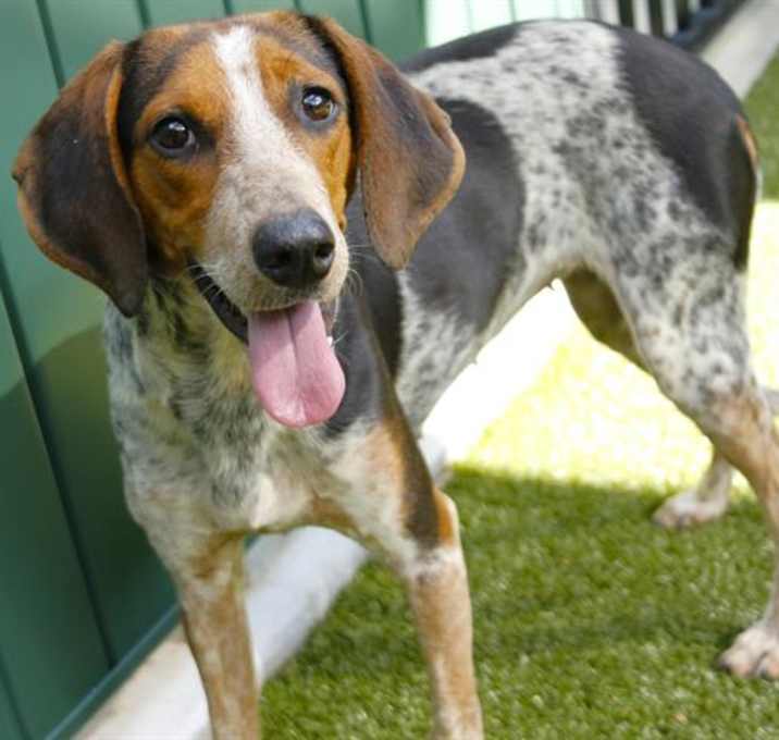 Photo of JODIE FOSTER