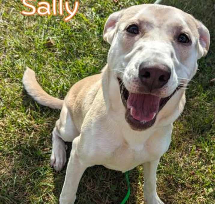 Photo of Sally