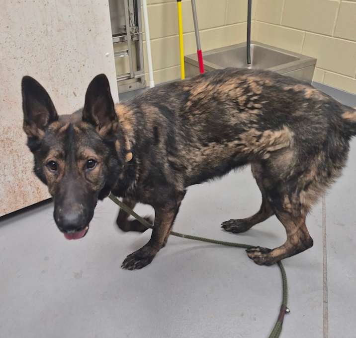 Photo of Garrett 3885