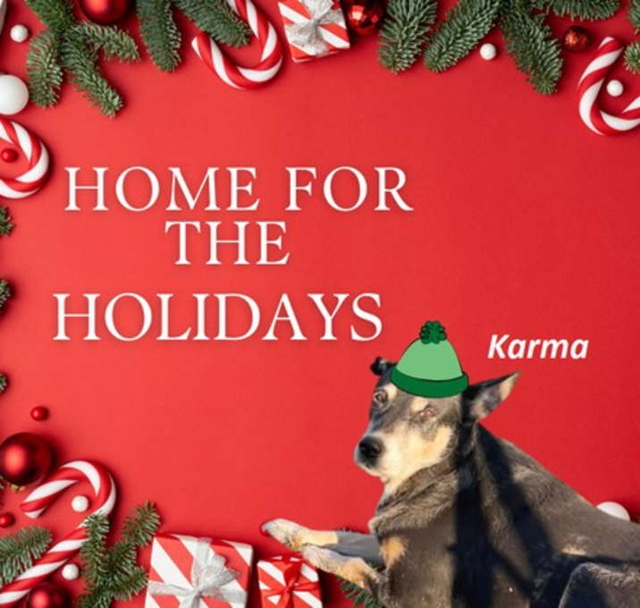 Photo of Karma-Sweet Senior Girl