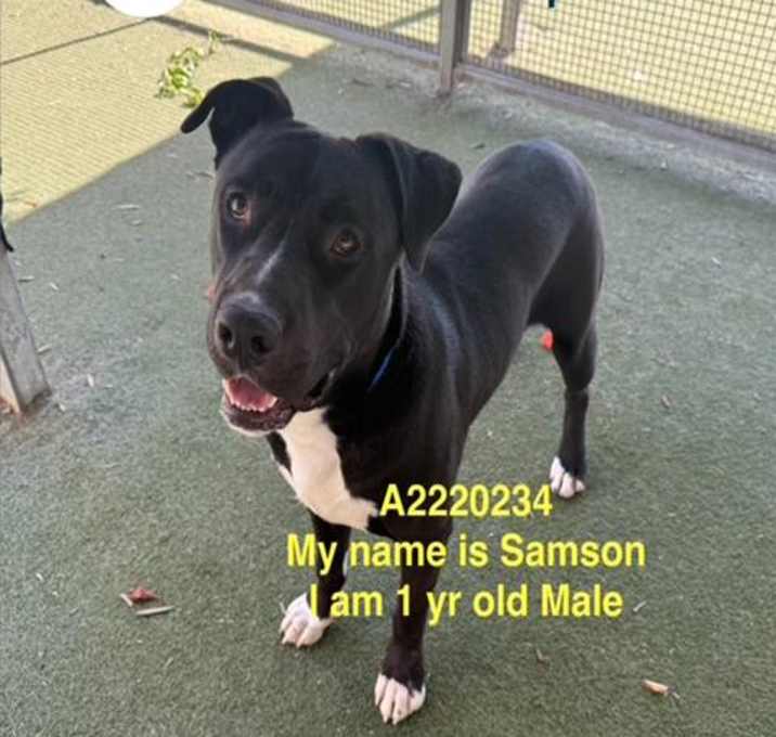Photo of SAMSON