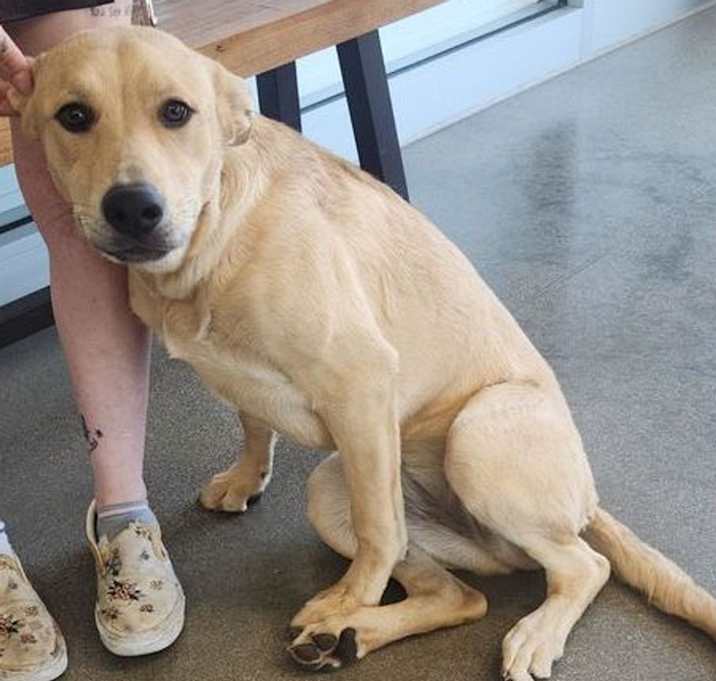 Photo of Sai*/gracie