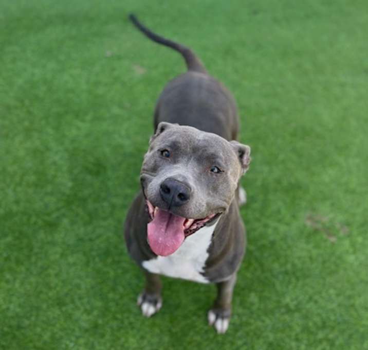 Photo of PERRIWINKLE *PERRI*