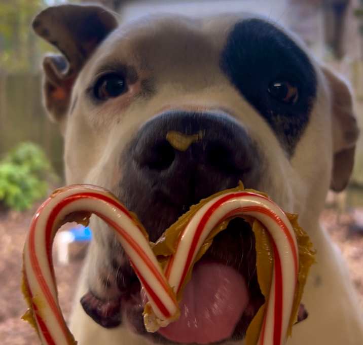 Photo of Ebbie (I have a Secret Crush!)