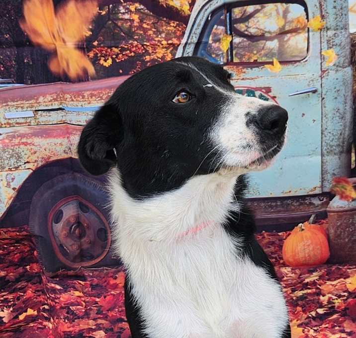 Photo of Princess JuM