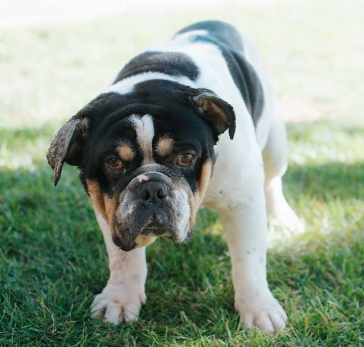 Photo of Tortured Poets Department