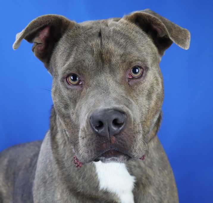 Photo of Kaden - 121003T-2