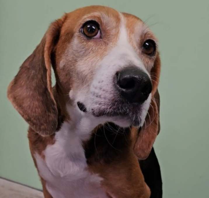 Photo of Ruby Tuesday