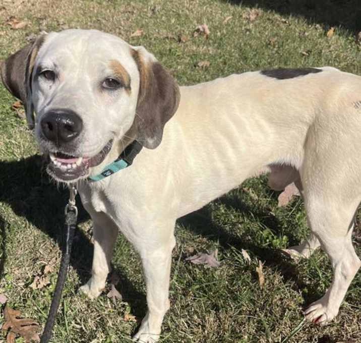 Photo of Phantom: at the shelter