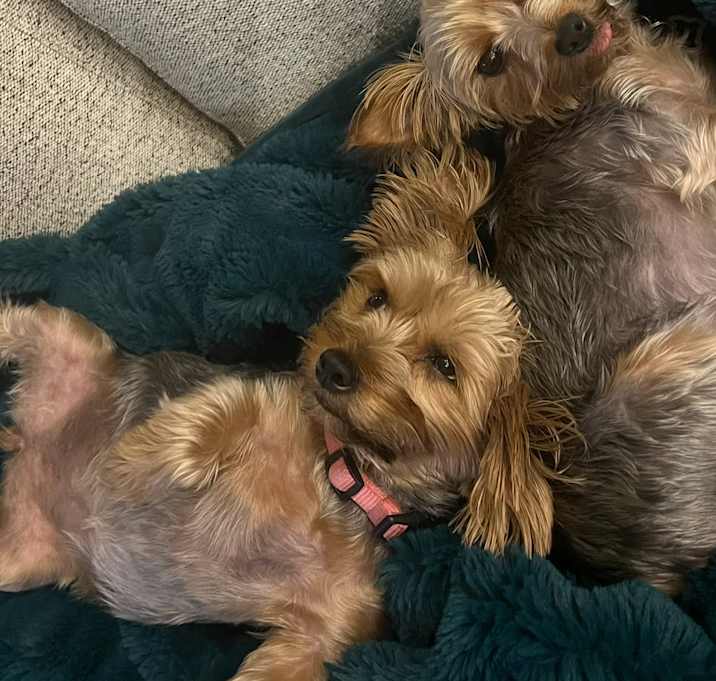 Photo of Tess and Taytum