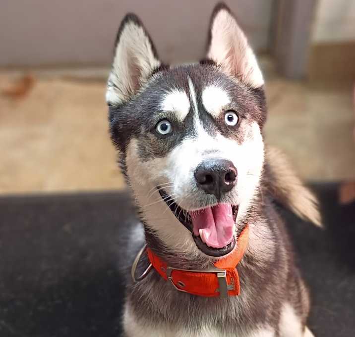 Photo of Oogie Boogie