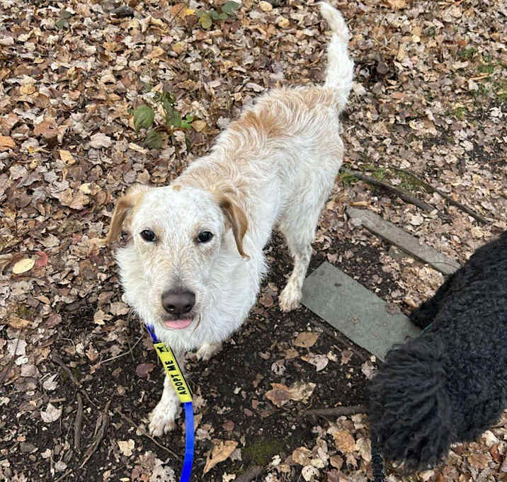 Photo of Tutti Frutti