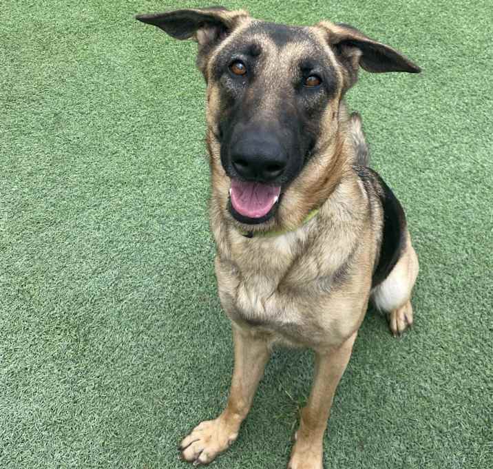 Photo of Rhylee 0247 AKA Heidi