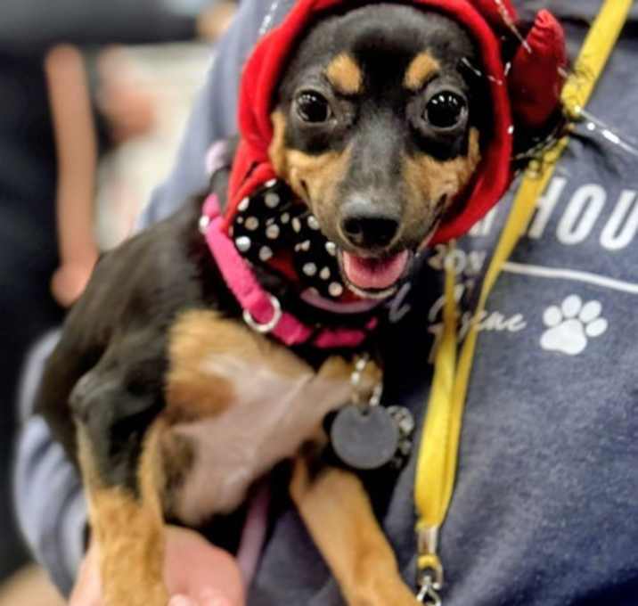 Photo of Raven Rogers