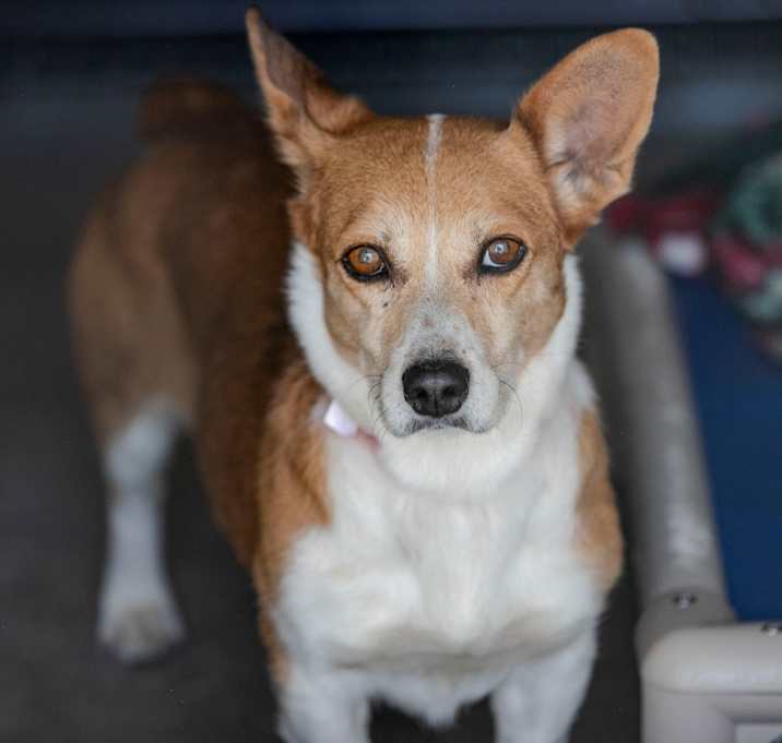 Photo of Simonne (JY24-89)