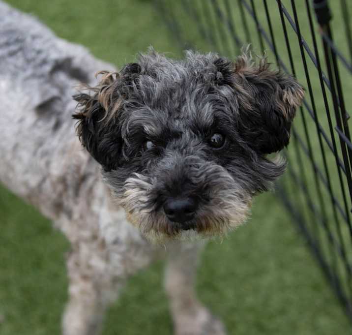 Photo of Delaney (JN25-506)