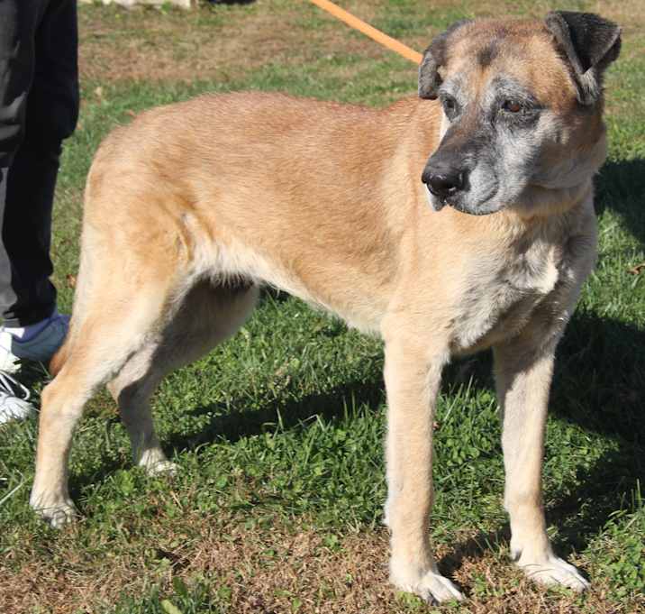 Photo of Shetland (Photos 10/28/2025)