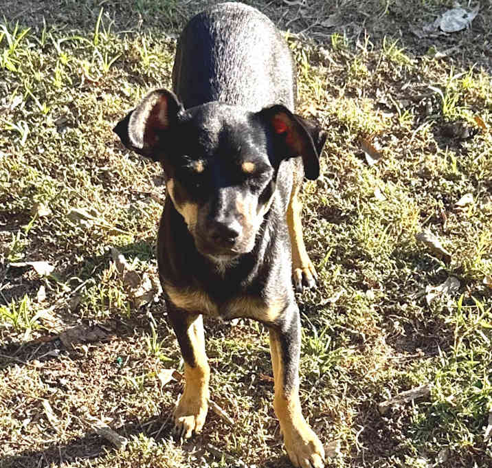 Photo of Eugene  25-11-052