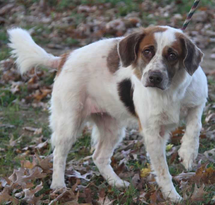 Photo of Maggie (Photos 11/5/2025)