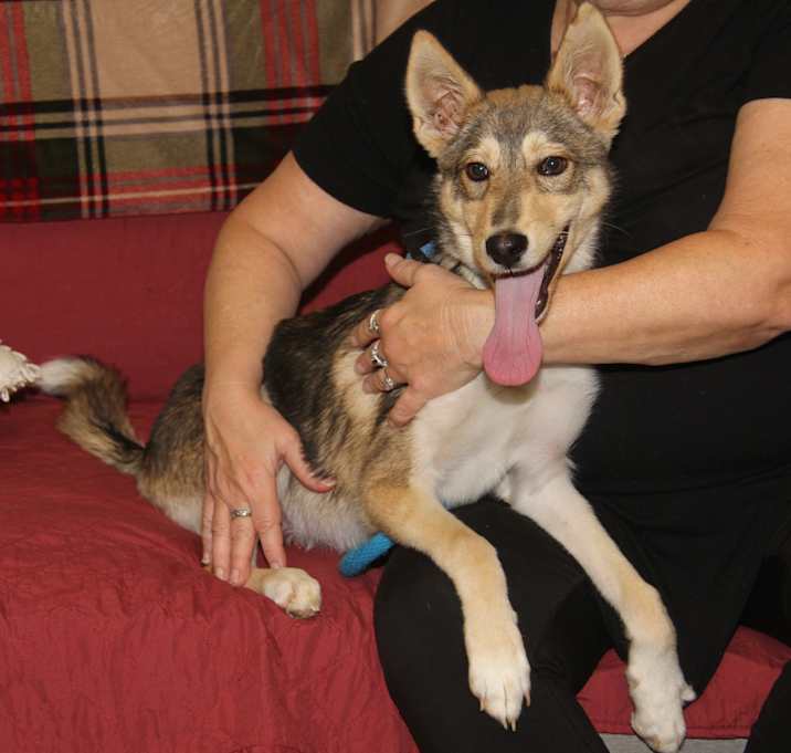 Photo of Todd (Photos 11/6/2025)