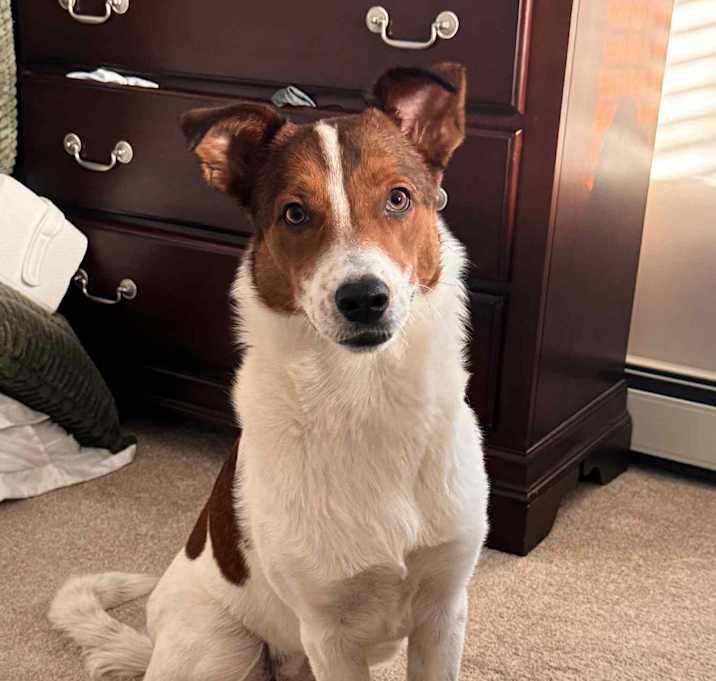 Photo of Mara Forsyth