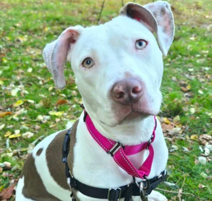 Photo of Anita Collar