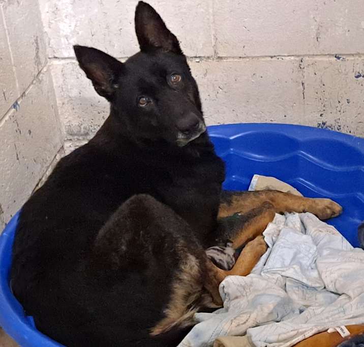 Photo of Jess (Pauline)