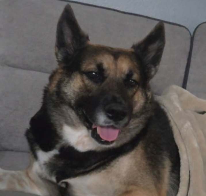 Photo of BROWNIE FOSTER