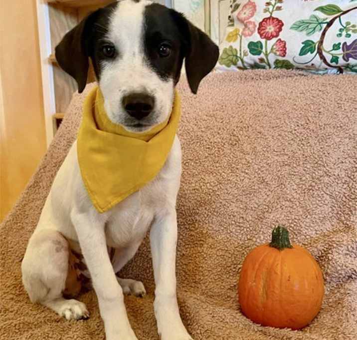 Photo of Trudy Lonestar