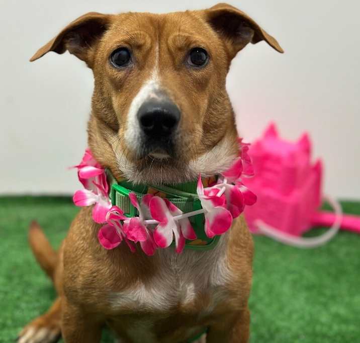 Photo of Ariana Grande