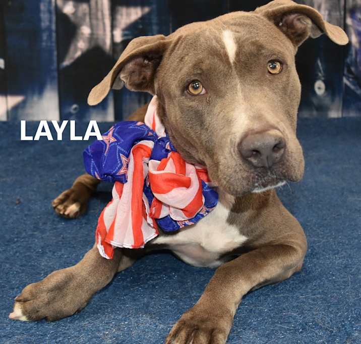 Photo of Layla